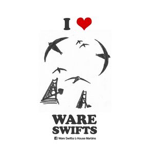 Ware Swifts & House Martins